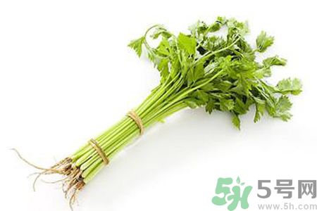 芹菜可以減肥嗎？芹菜有什么功效？