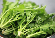 薺菜為什么要焯水？薺菜要用開(kāi)水燙嗎？