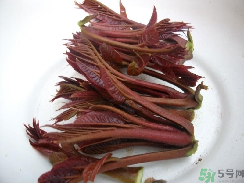 香椿好吃嗎？香椿可以做菜嗎？