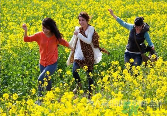 清明節(jié)的習(xí)俗有哪些？清明節(jié)吃什么？