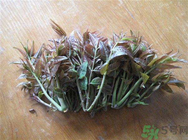 香椿怎么吃才安全？吃香椿的最佳時間是什么時候？
