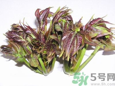 吃香椿有什么好處？香椿可以預(yù)防疾病嗎？