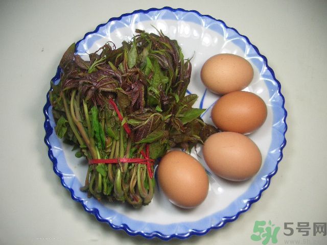 怎么挑選香椿呢？挑選香椿的小竅門？