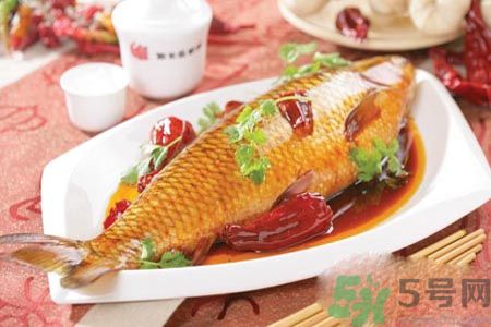 怎么挑選魚？挑魚的技巧有哪些？