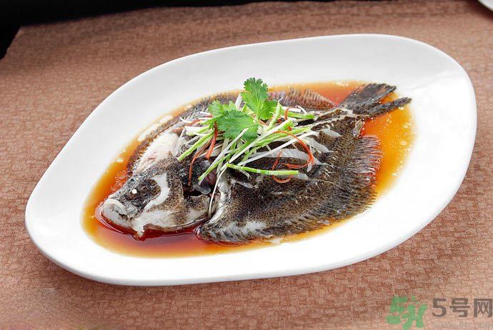 怎么挑選魚？挑魚的技巧有哪些？