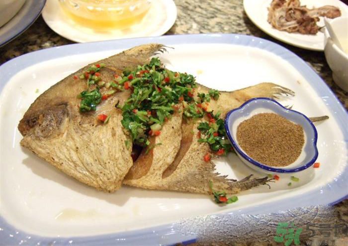怎么挑選魚？挑魚的技巧有哪些？