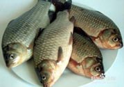 怎么挑選魚？挑魚的技巧有哪些？