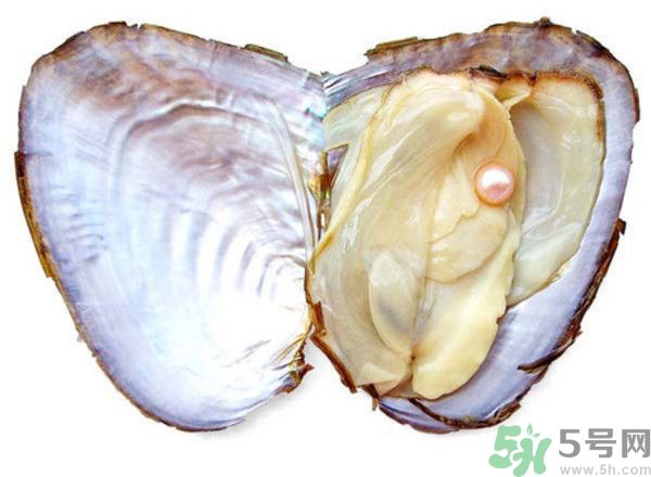 河蚌什么時候吃最好？吃河蚌有什么好處？