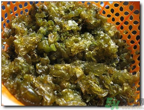 地皮菜怎么清洗干凈？怎樣洗地皮菜？