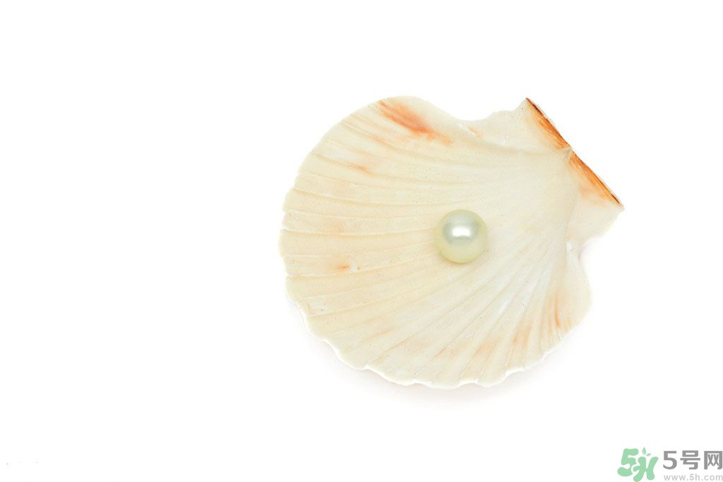 河蚌怎么炒才不會(huì)老？炒河蚌要注意什么？