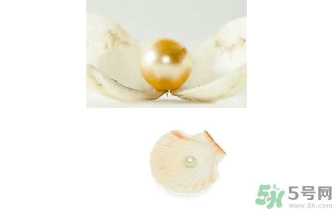 河蚌怎么炒才不會(huì)老？炒河蚌要注意什么？