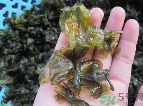 地皮菜孕婦能吃嗎？地皮菜孕婦吃好嗎？
