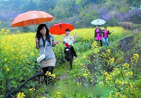 清明節(jié)為什么要踏青？清明節(jié)踏青有什么好處？