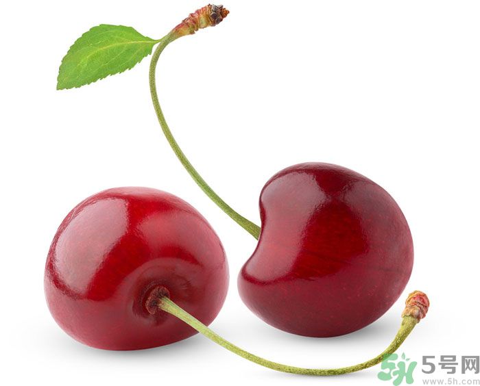 吃什么水果可以補血？補血的水果有哪些？