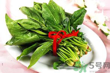 補(bǔ)血吃什么好？補(bǔ)血的食物有哪些？