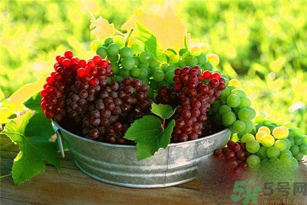 高血脂吃什么水果好？什么水果可以降血脂？