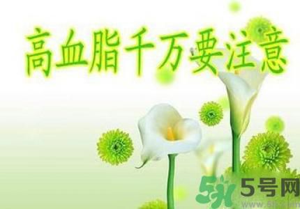 高血脂不能吃什么食物？高血脂要注意什么？