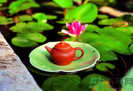 降血脂的茶有哪些？什么茶可以降血脂？