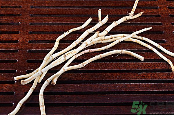 魚腥草能泡水喝嗎？魚腥草泡水喝有什么功效？