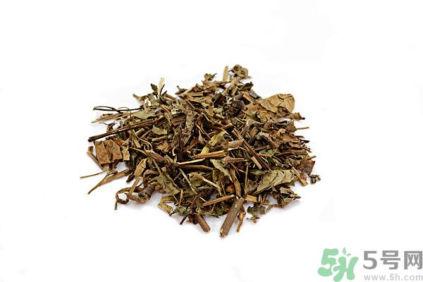 魚腥草能泡水喝嗎？魚腥草泡水喝有什么功效？