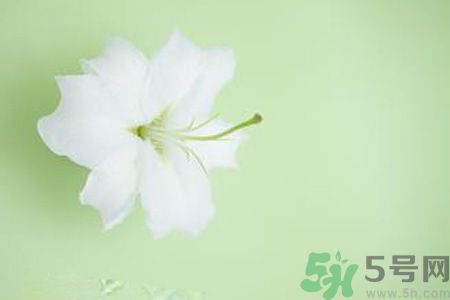 春季咳嗽怎么辦？春季咳嗽吃什么好？