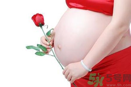 孕婦可以吃枸杞嗎？孕婦吃枸杞好嗎？