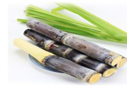 清明節(jié)可以吃甘蔗嗎？清明節(jié)不能吃哪些食物？