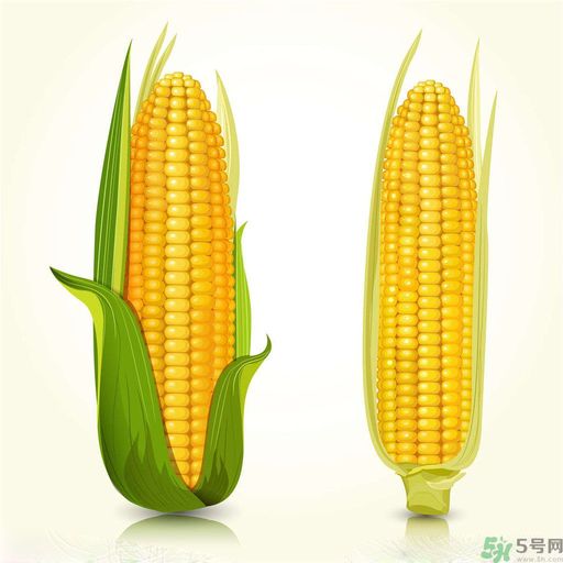糖尿病可以吃玉米嗎？糖尿病吃玉米好嗎？