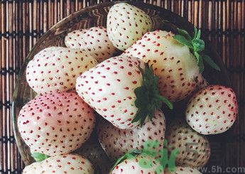 菠蘿莓好吃嗎？菠蘿莓好不好吃？