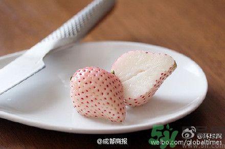 菠蘿莓好吃嗎？菠蘿莓好不好吃？