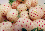 菠蘿莓孕婦能吃嗎？菠蘿莓懷孕可以吃嗎？