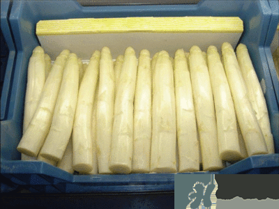吃蘆筍注意事項有哪些？蘆筍有什么藥用功效？
