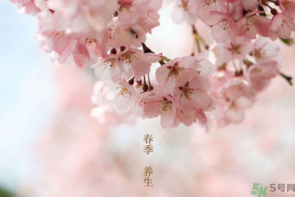女性春季養(yǎng)生吃什么？女性春季怎么養(yǎng)生？