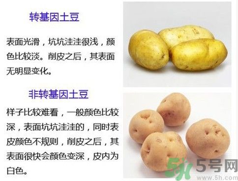 土豆變綠還能吃嗎？土豆變綠有什么危害？