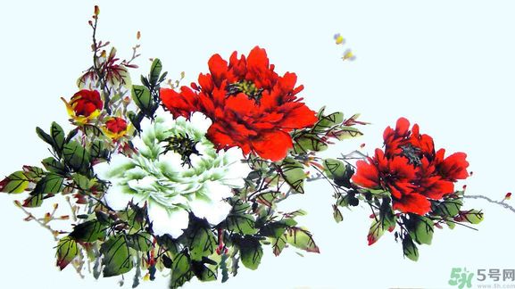 牡丹的花語(yǔ)是什么？牡丹的寓意是什么？
