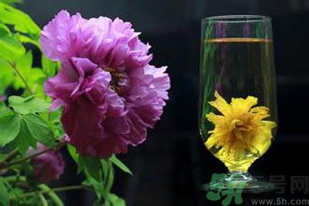 牡丹花可以和菊花一起泡嗎？牡丹花和菊花一起泡茶好嗎？
