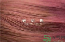 九大色系染發(fā)要怎么選擇？九大色系染發(fā)有什么要求？