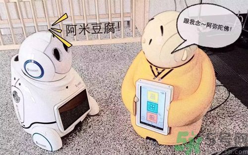 機器僧哪里可以買到？機器僧多少錢？