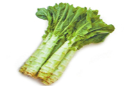 萵筍可以和芹菜一起炒嗎？萵筍和芹菜一起炒好嗎？