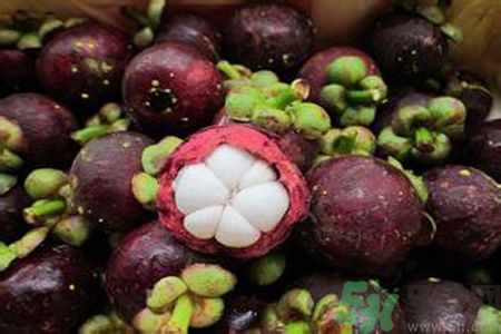 山竹可以和牛奶一起吃嗎？山竹和牛奶一起吃好嗎？
