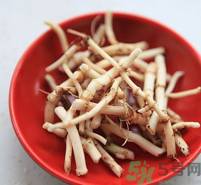 吃涼拌魚腥草可以喝酒嗎？吃魚腥草喝酒好不好？