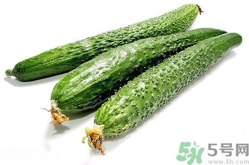 孕婦可以吃生黃瓜嗎？孕婦可以生吃黃瓜嗎？
