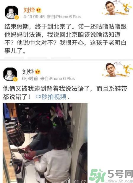 諾一雪梨是誰？為什么叫諾一雪梨？