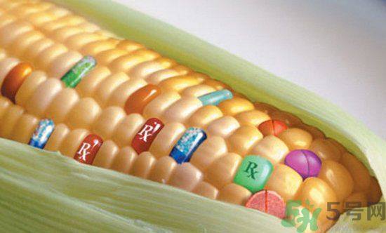 農(nóng)業(yè)部怎樣回應(yīng)轉(zhuǎn)基因食品？轉(zhuǎn)基因的食物有哪些？
