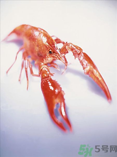 油燜大蝦為什么肉散了？油燜大蝦怎么做肉不散？