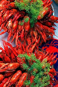 油燜大蝦用的是什么蝦？油燜大蝦用什么蝦最好？