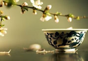 春天喝什么茶養(yǎng)生最好？春天喝茶要注意什么？