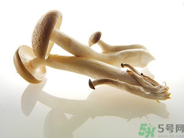 菇類的營養(yǎng)價值有哪些？怎樣挑選優(yōu)質(zhì)的菇類？