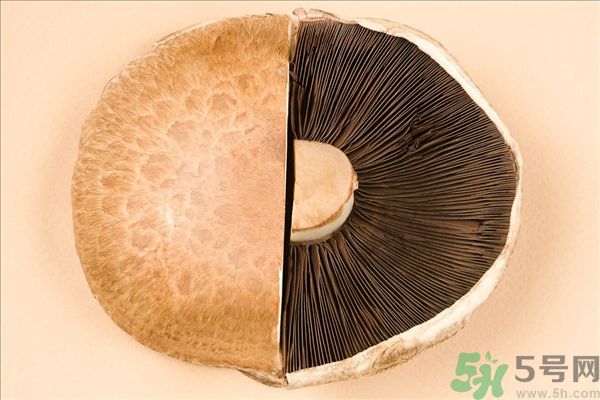 菇類的營養(yǎng)價值有哪些？怎樣挑選優(yōu)質(zhì)的菇類？