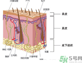 為什么頭發(fā)越來越油？頭發(fā)應(yīng)該幾天洗一次？